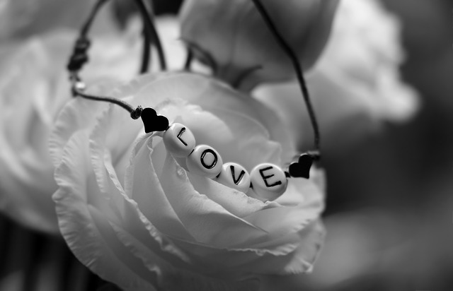 40+ Idee Regalo Ragazza o per la Fidanzata: Cosa Regalare alla Tua